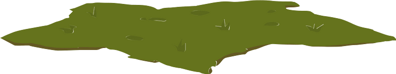 Green dirt patch
