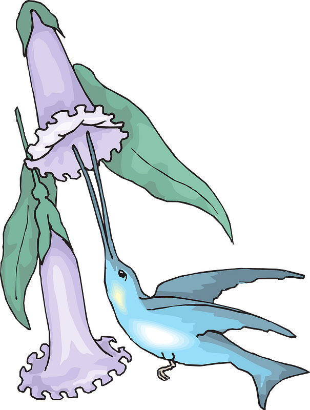 Hummingbird with flowers