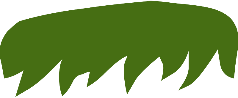 Green grass mask