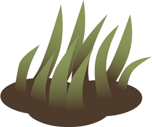 Green grass solid