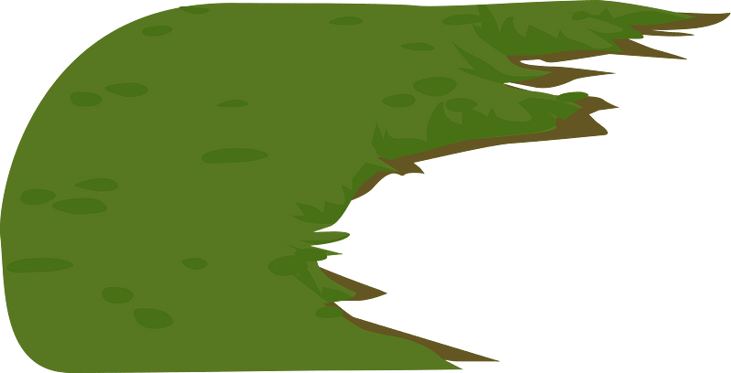 Green grass transition