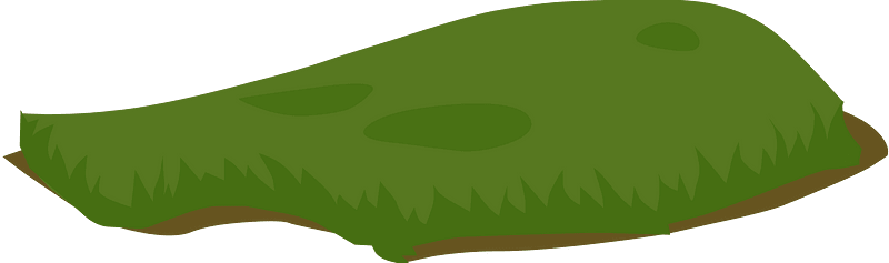 Green transition grass