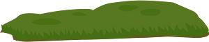 Green transition grass