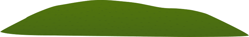 Green transition grass