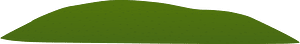 Green transition grass