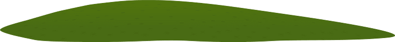 Green transition grass