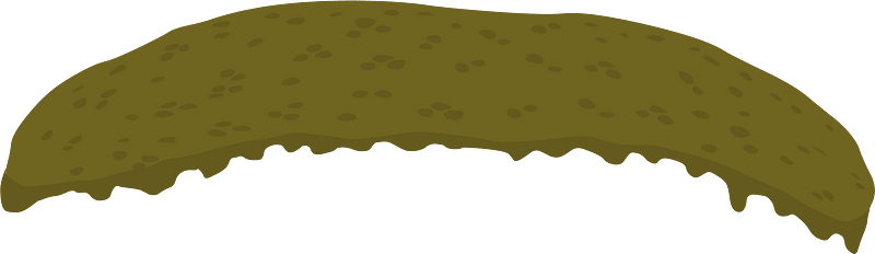 Ground forest terrain plattop