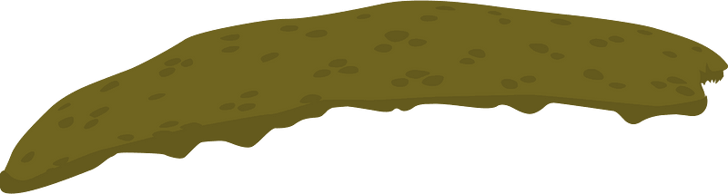 Ground forest terrain plattop