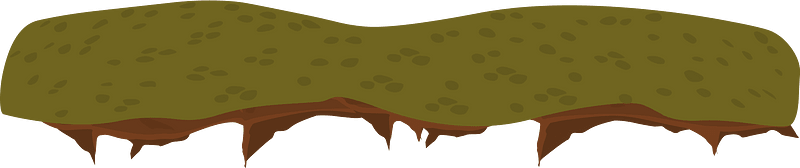 Ground forest terrain plattop