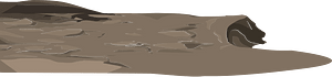 Brown platform left