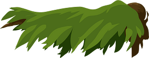 Green wooden platform