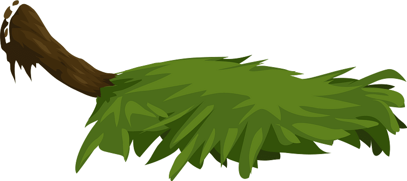Green wooden platform