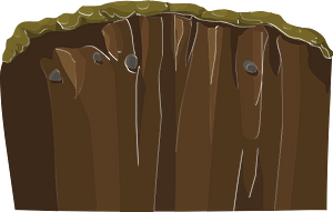 Brown ground