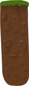 Brown ground crosssection sliver
