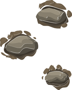 Brown ground heights ladder