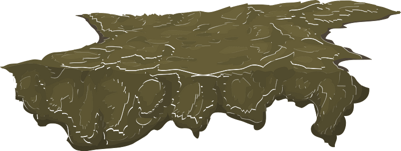 Brown ground heights moss