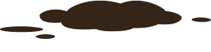 Soil debris