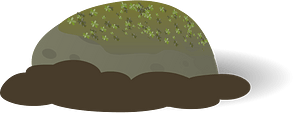 Green stone moss