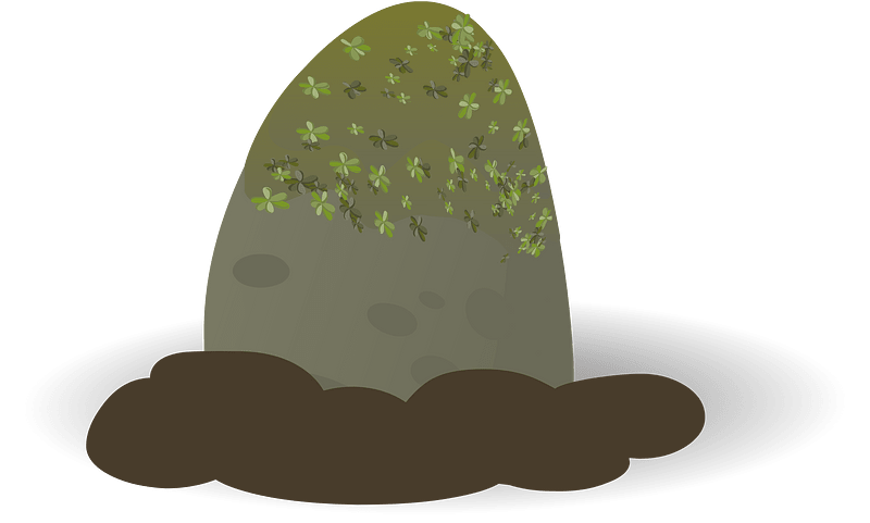 Green stone moss