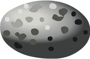 Pebble