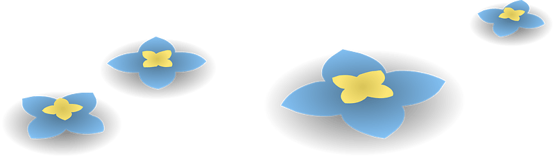 Blue wild flowers