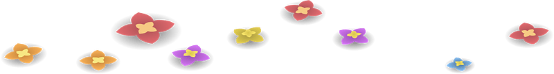 Multi color wild flowers