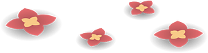 Pink wild flowers