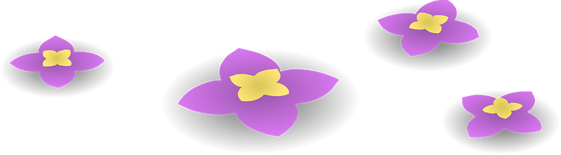 Purple wild flowers