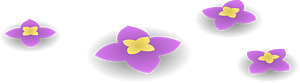 Purple wild flowers