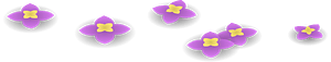 Purple wild flowers