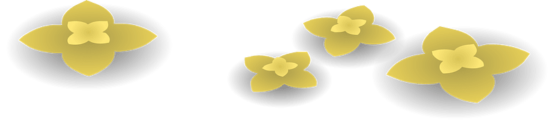 Yellow wild flowers