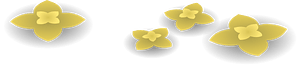 Yellow wild flowers