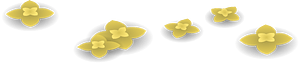 Yellow wild flowers