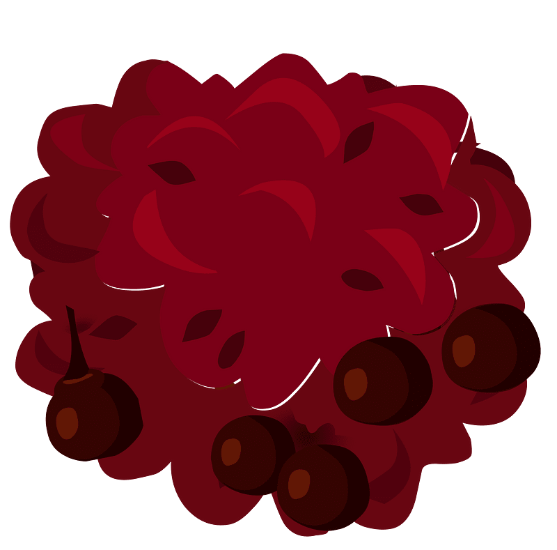 Red berries