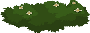 Green bush