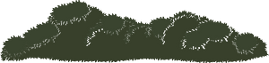 Green bush