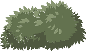 Green bush