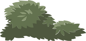 Green bush