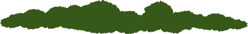 Green bush patch