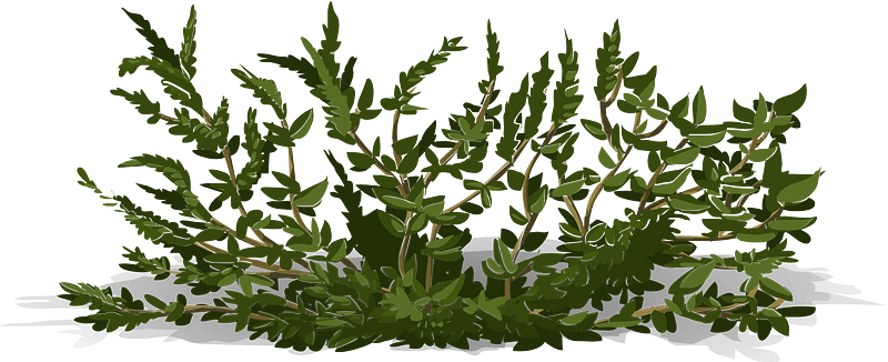 Green bush seethrough
