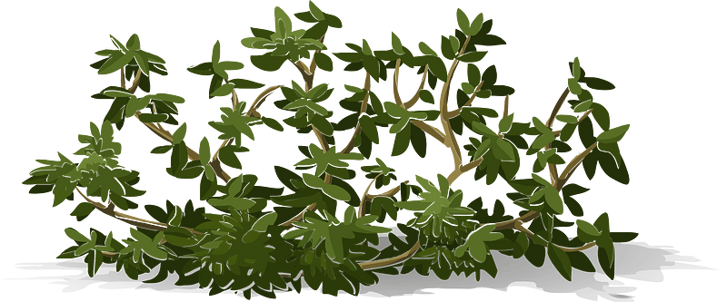 Green bush seethrough