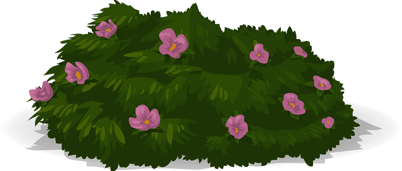 Light purple flower bush