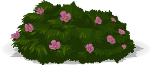 Light purple flower bush