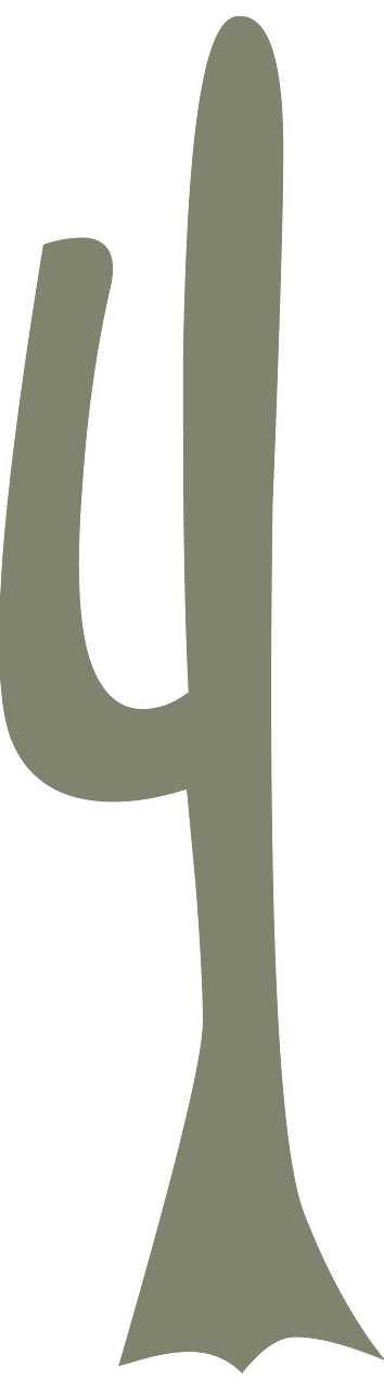 Grey cactus