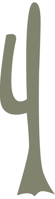 Grey cactus