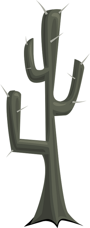 Grey dead spike cactus