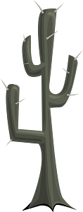 Grey dead spike cactus
