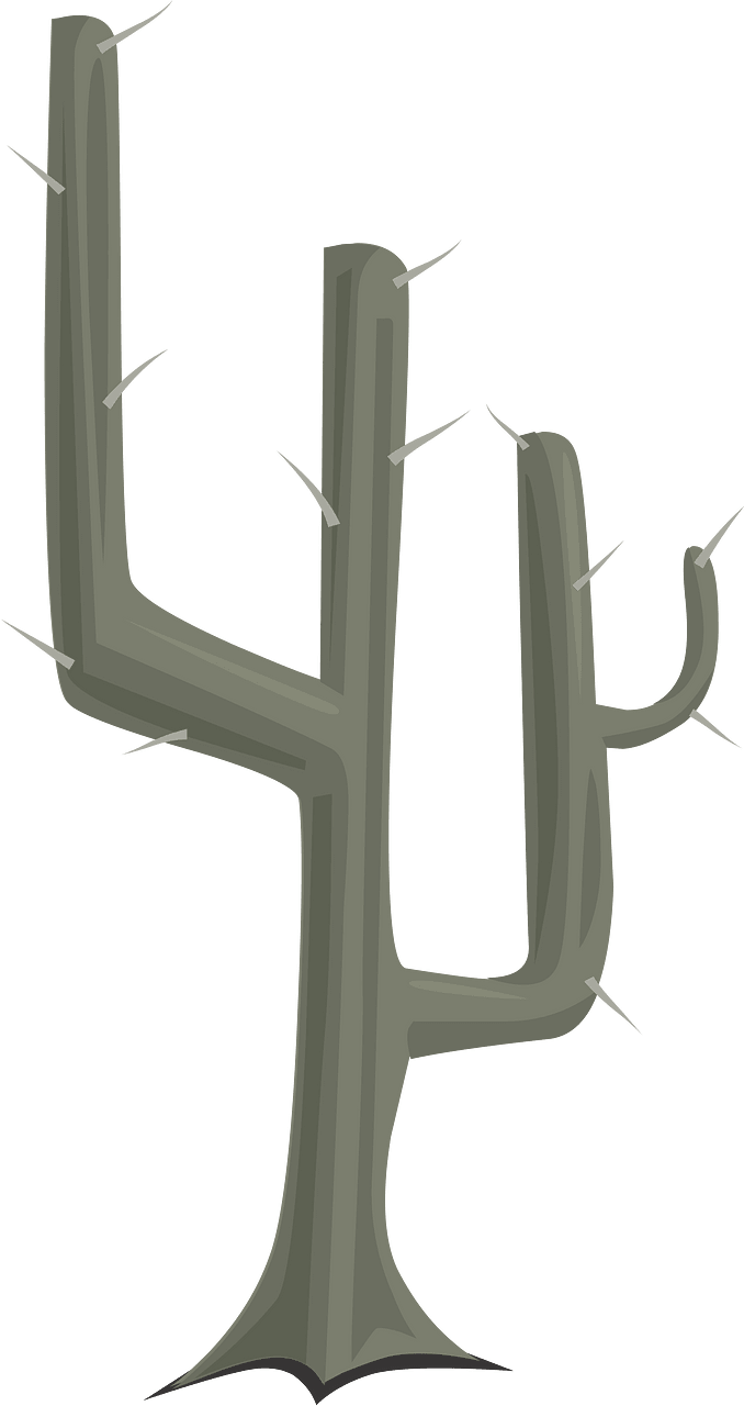 Grey dead spike cactus