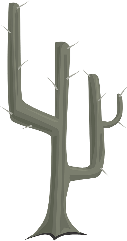 Grey dead spike cactus