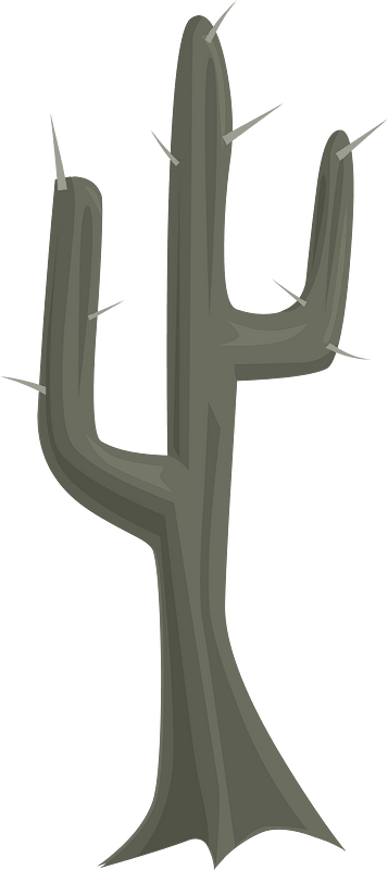 Spiny dark grey cactus